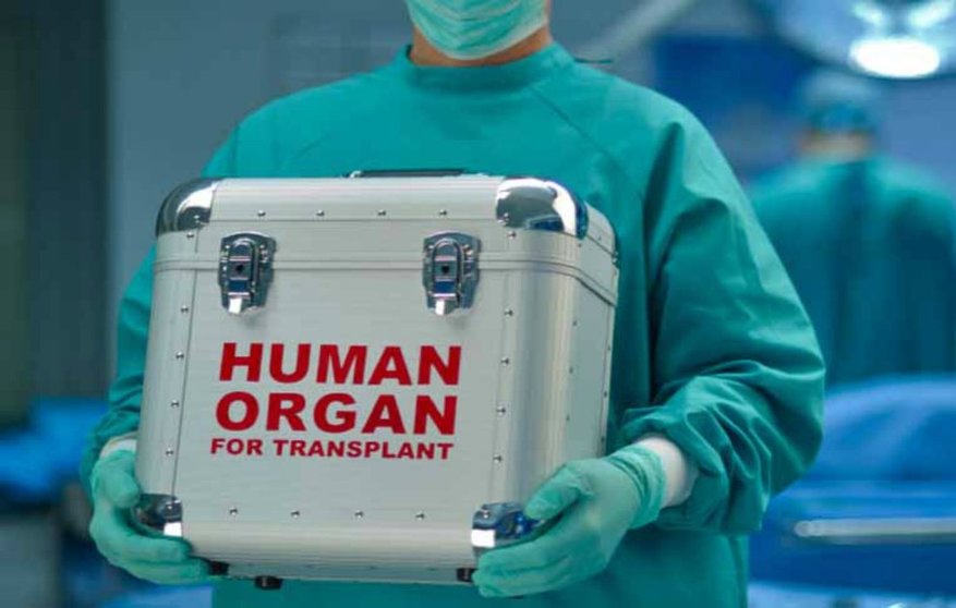 trasplante-organos-mexico