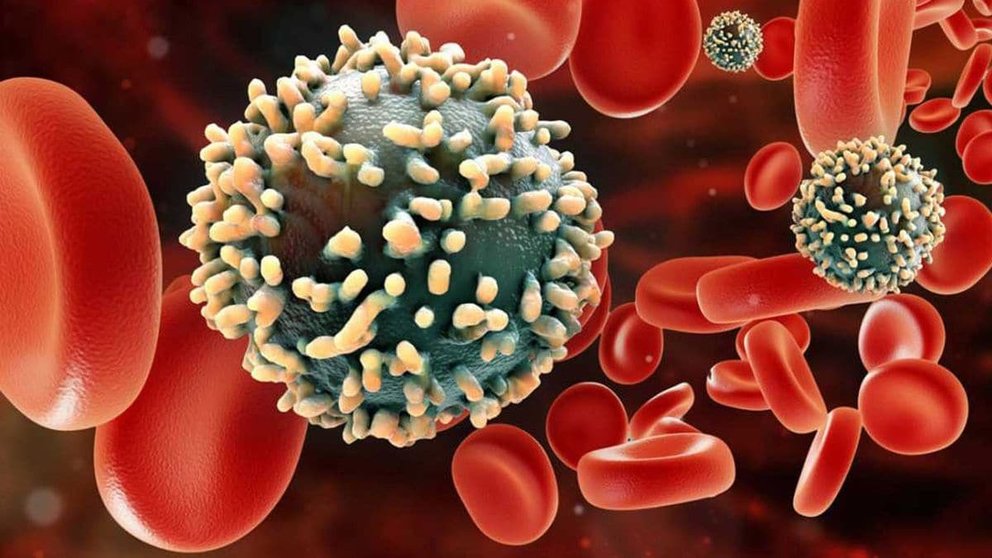 el transplante de celulas madre podria erradicar el VIH